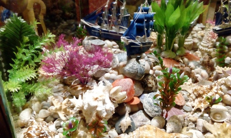 Сухой аквариум с крышками