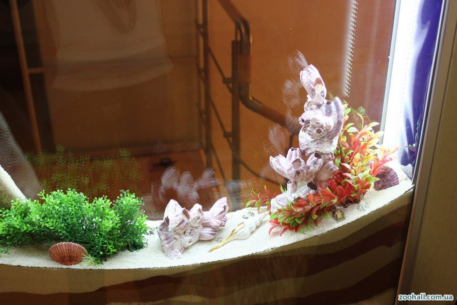 Флорариум с суккулентами и кактусами