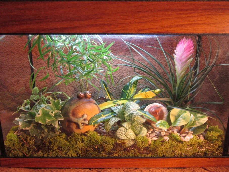 Стеклянный пол аквариум