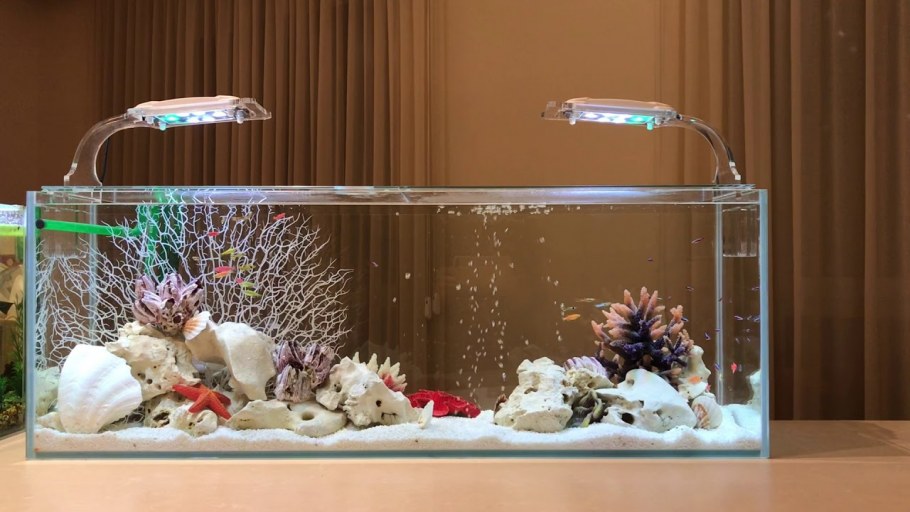 Суккуленты в аквариуме прямоугольном