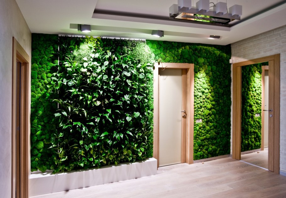 Фитостена из растений