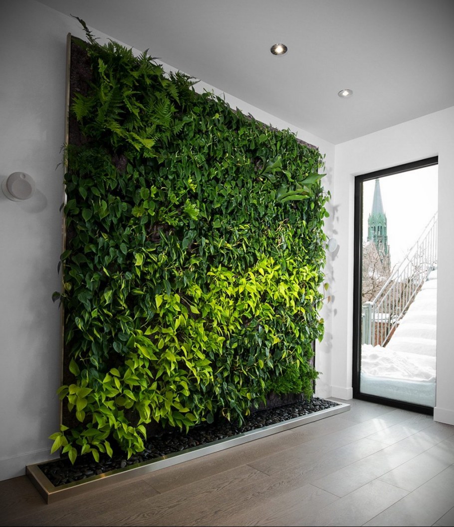 Комнатные цветы в интерьере