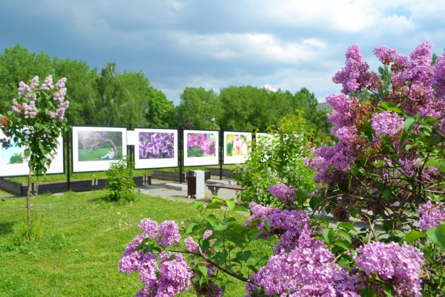 Сиреневый сад в Москве