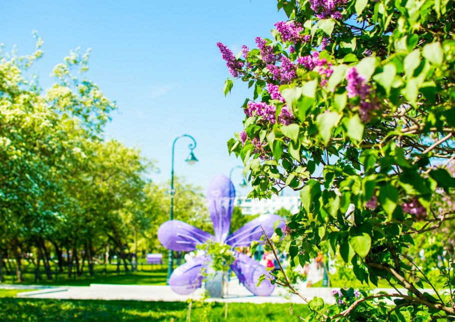 Гольяново сиреневый сад