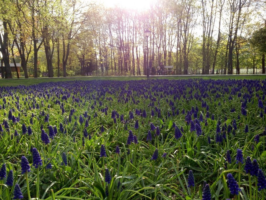 Скульптуры в сиреневом саду в Сокольниках