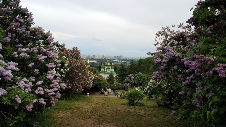Сиреневый сад в Москве сад
