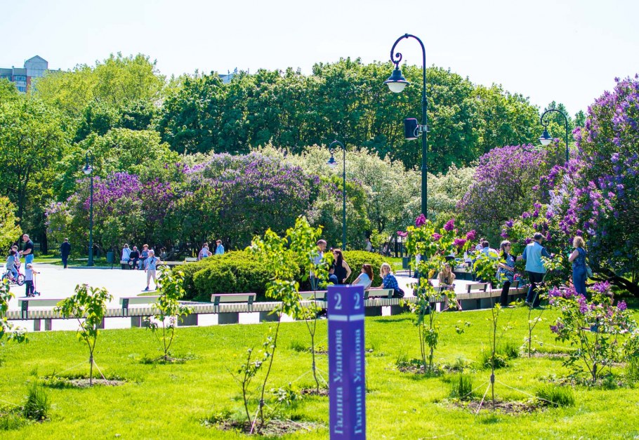 Сиреневый сад в Москве