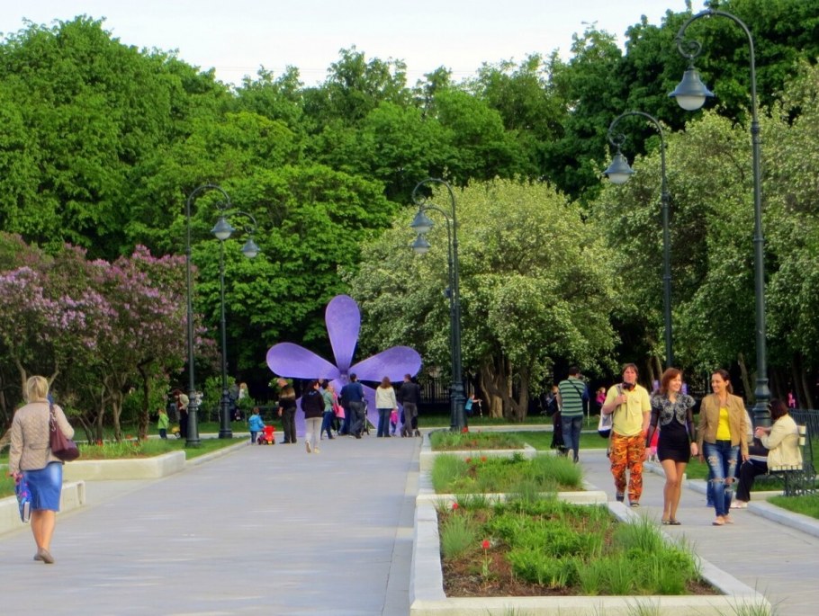 Сирень в Ботаническом саду