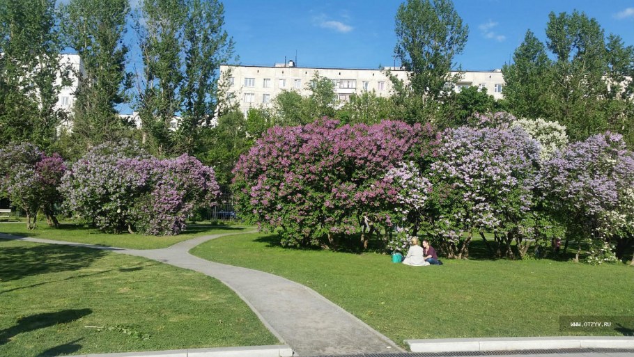 Парк сиреневый сад