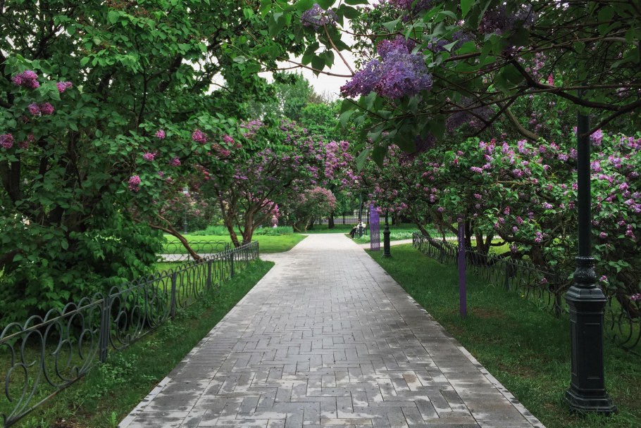 Сиреневый сад Измайлово фонтан