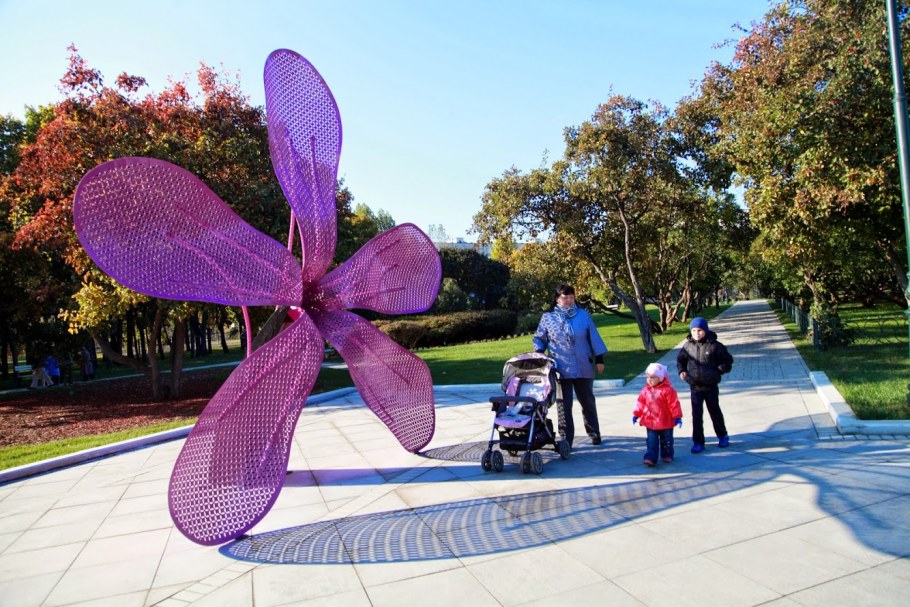 Фиалковое дерево Росток