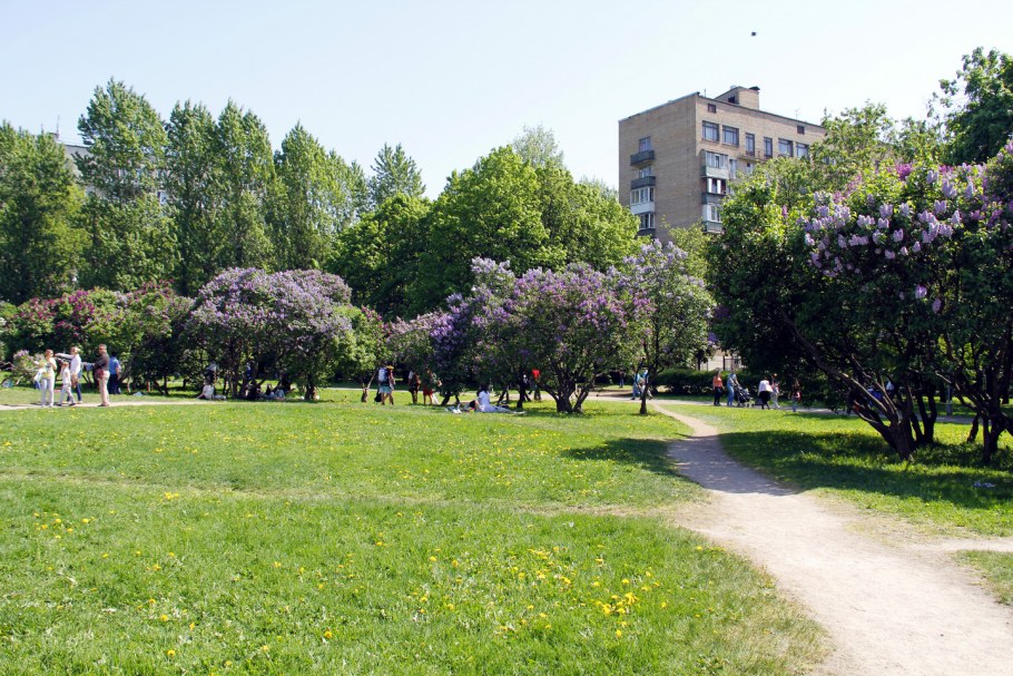 Сиреневый сад на Щелковском шоссе