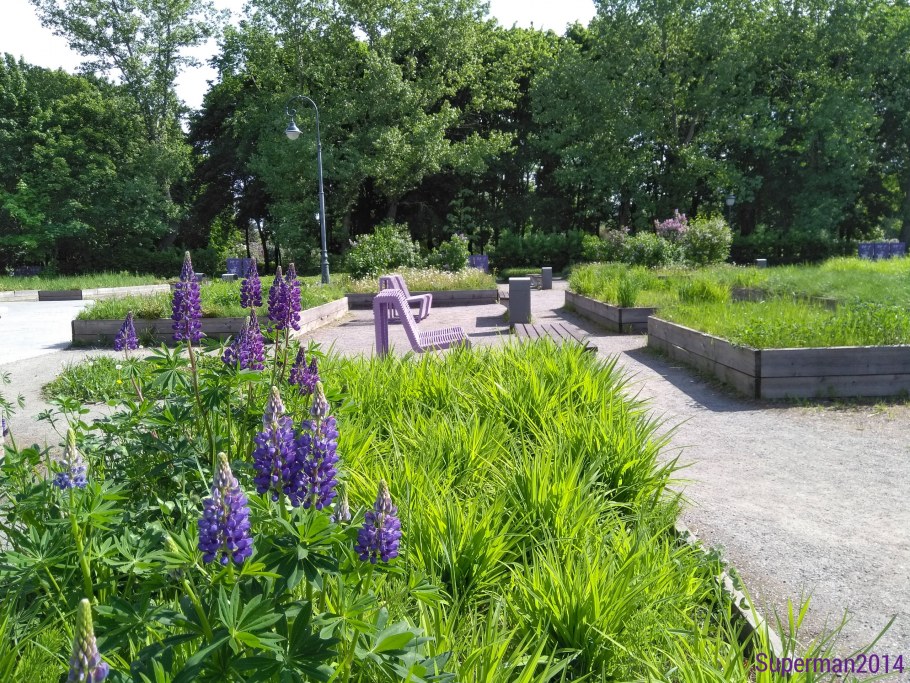 Сад сирени в Москве