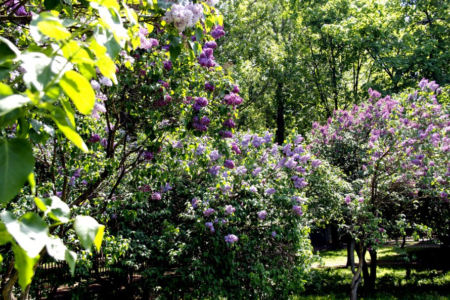 Необыкновенные пейзажи