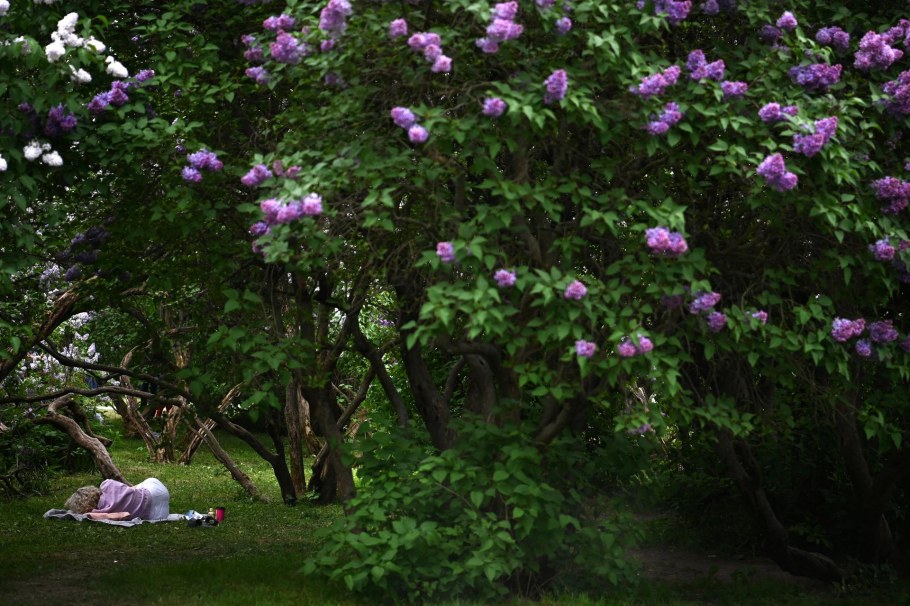 Нескучный сад Москва Весна