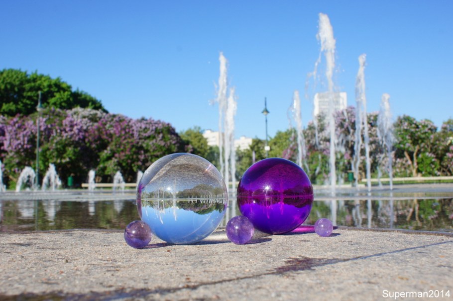 Сиреневая аллея "сирень Победы",