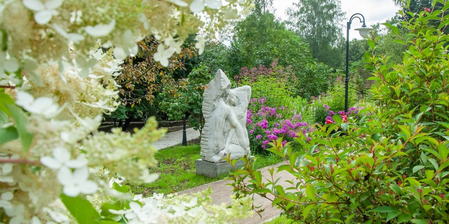 Ботанический парк МГУ