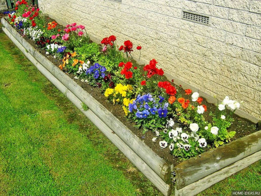 Декоративные клумбы для цветов