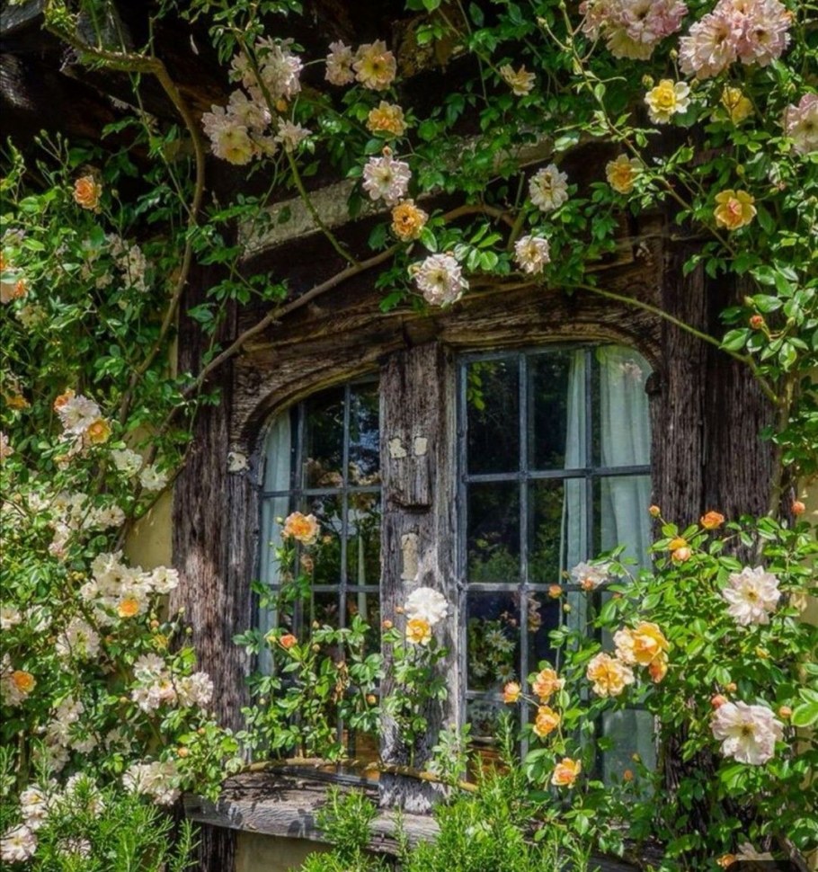 Cottagecore Эстетика