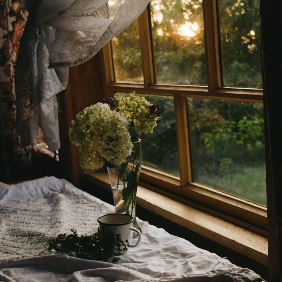 Вид из окна уют