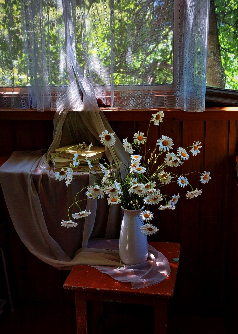 Ромашки на окне в деревне