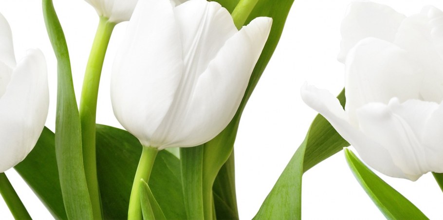 Плитка Азори Фьюжн