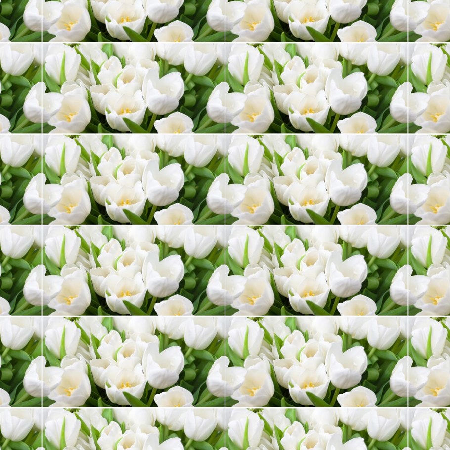 Azori Элара Верде