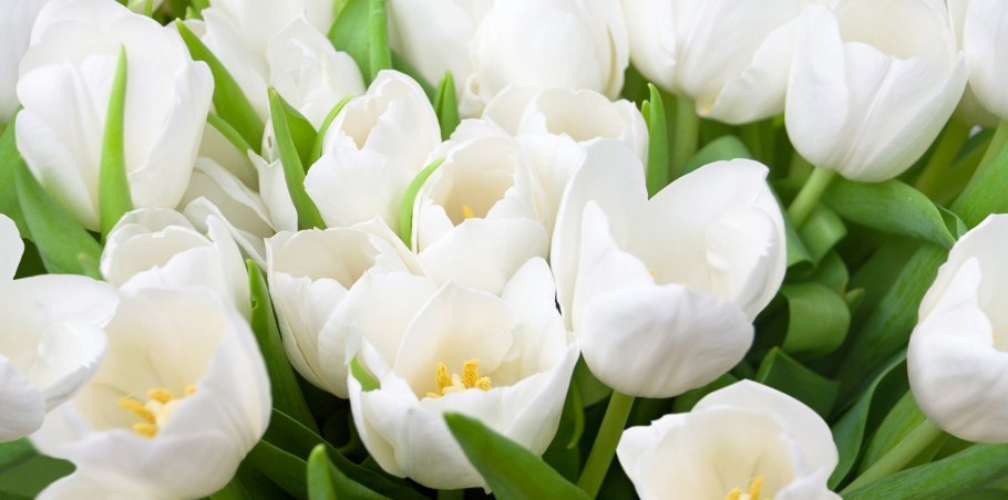 Плитка Голден релакс Тайл зеленая