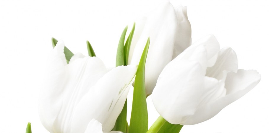 Коллекция Муза-керамика (Муза-керамика, Россия)