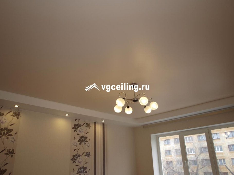 Матовый натяжной потолок в гостиной