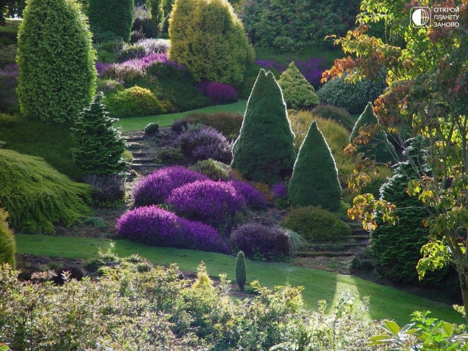 Астильба в долине реки клена частный сад в Саутленд новая Зеландия