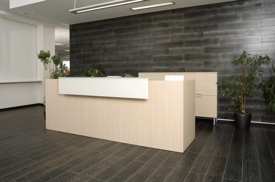 Ресепшен помещение