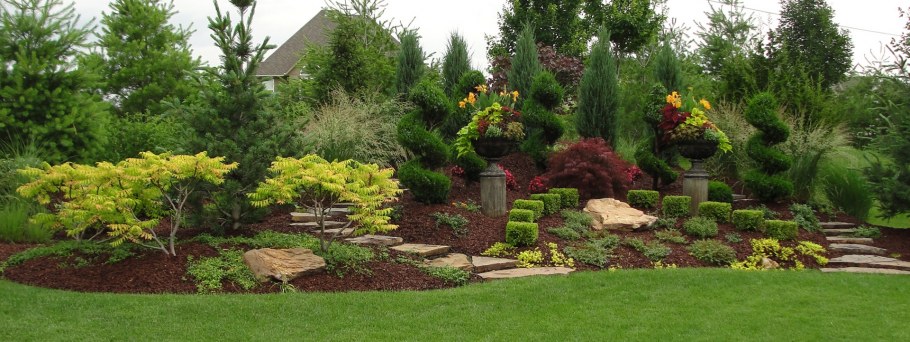 Японский клен Гиннала