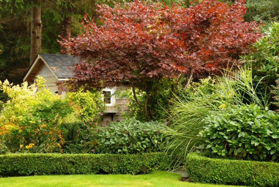 Ландшафт дачного участка Дубки