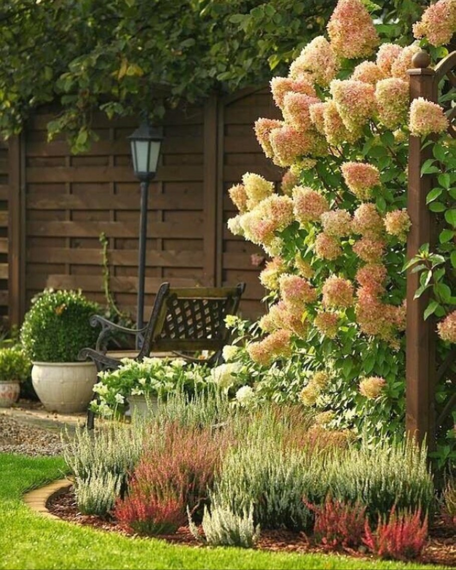 Гибискус желтый уличный