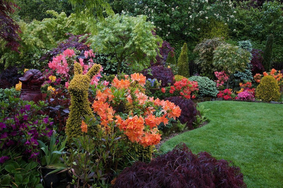 Миксбордер с барбарисом