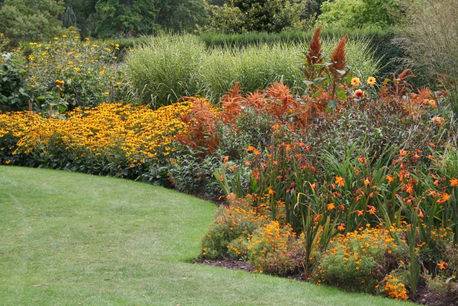 Декоративные деревья для двора