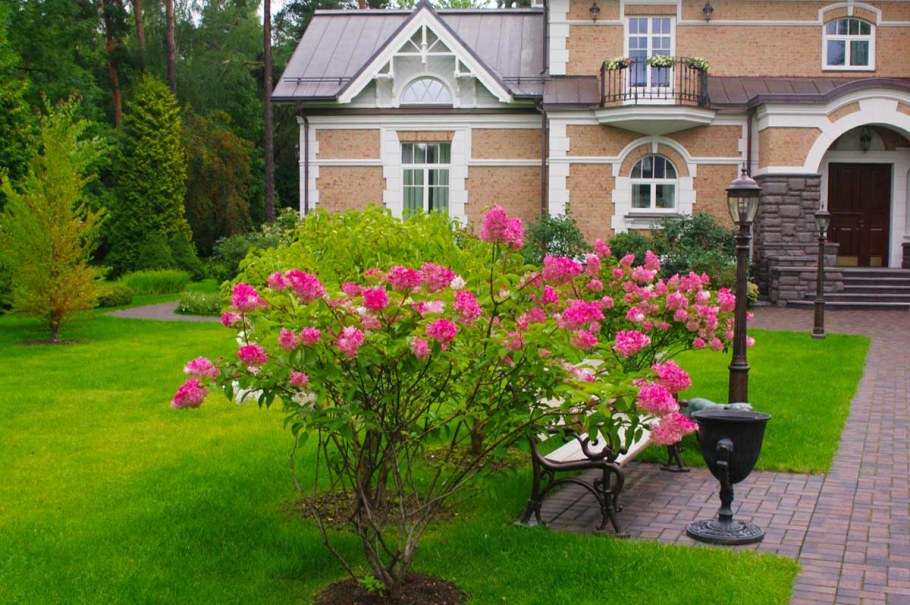 Огород в палисаднике с Элис Фаулер