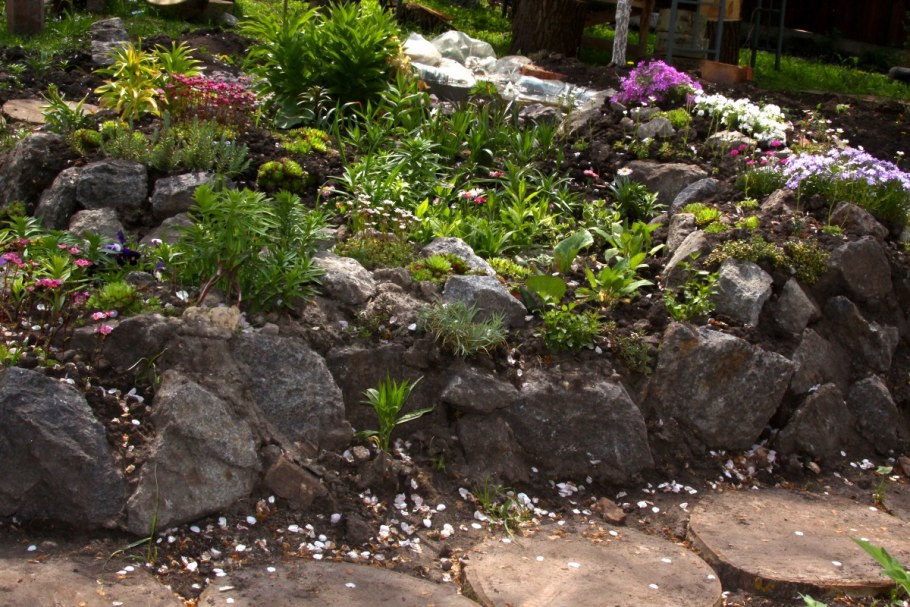 Рокарий- Альпийская лужайка