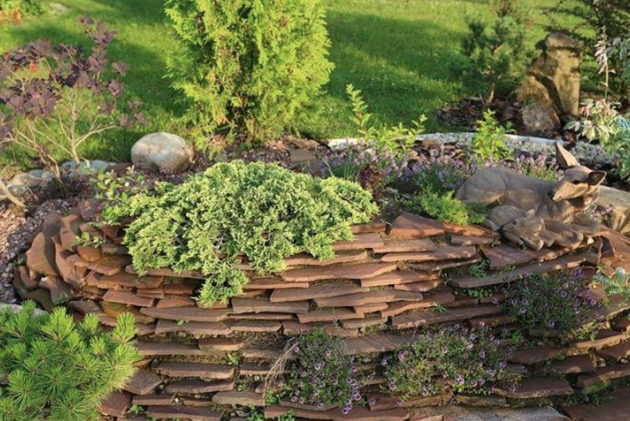 Альпийская горка своими руками