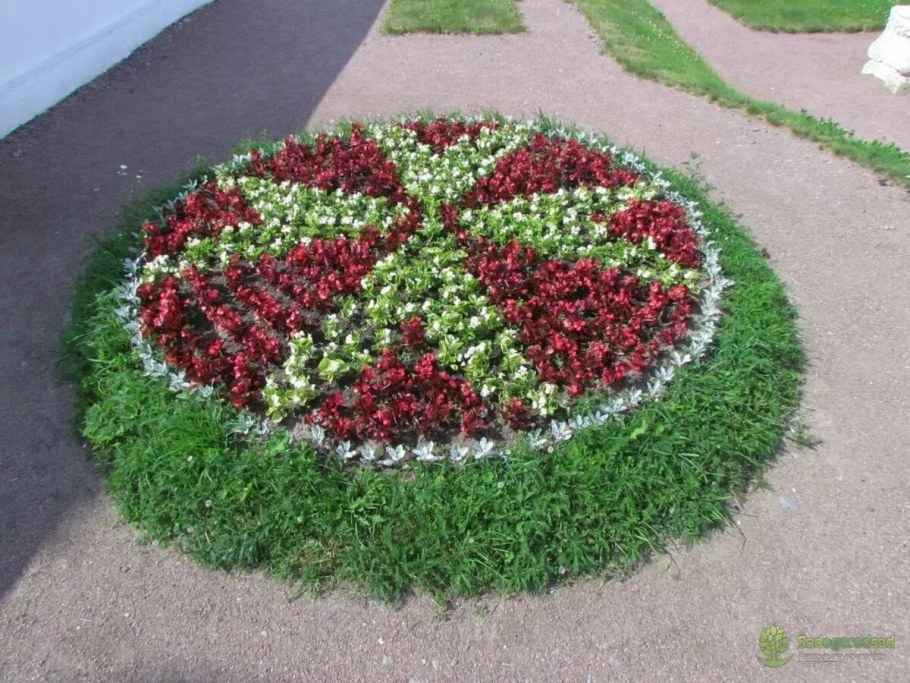 Парк Горького клумбы