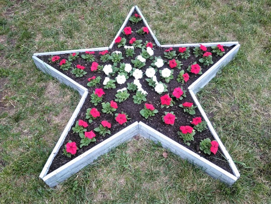 Клумбы для цветов в виде звезды