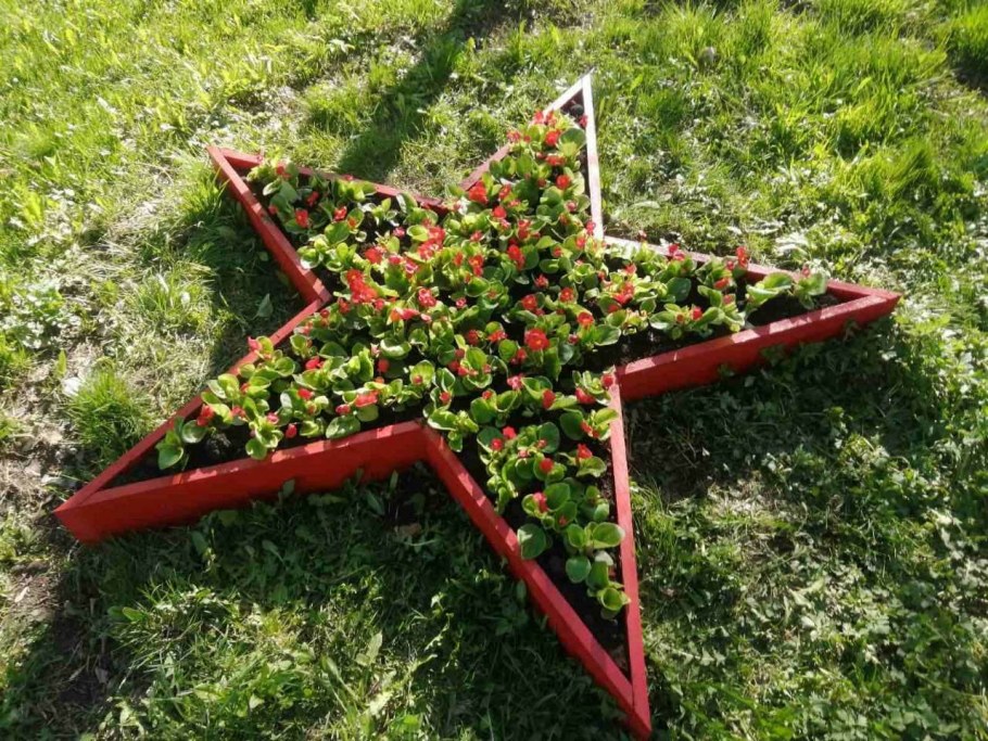 Клумба в форме звезды