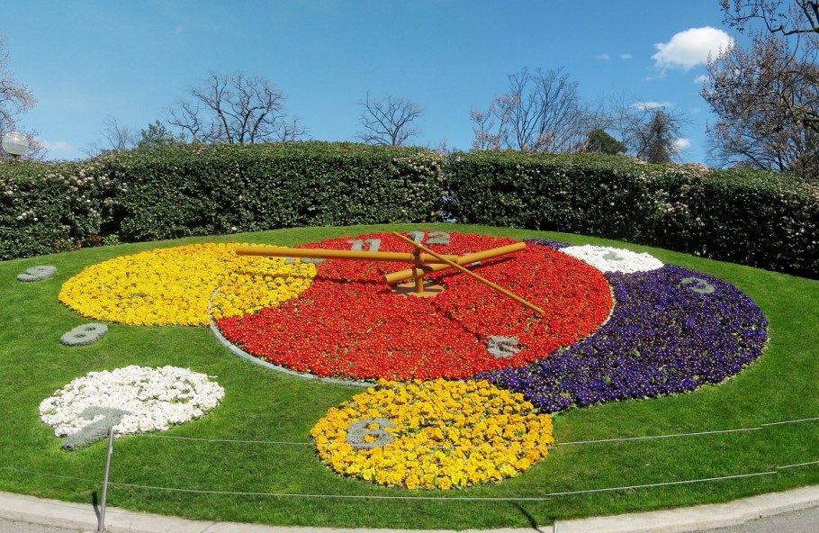 Парк цветов в Калужской области