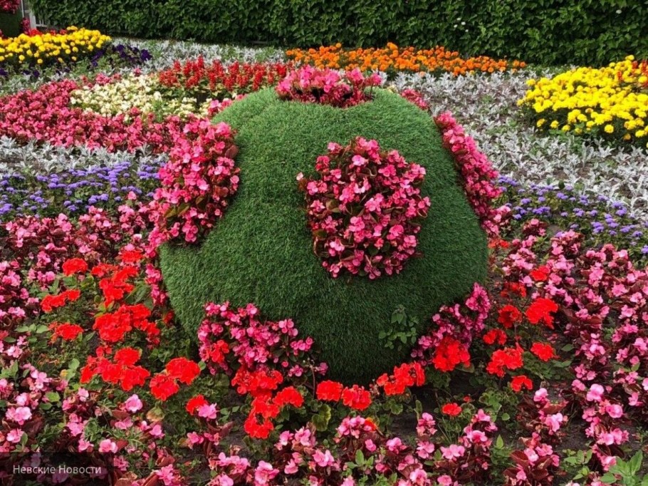 Клумба в форме сердца