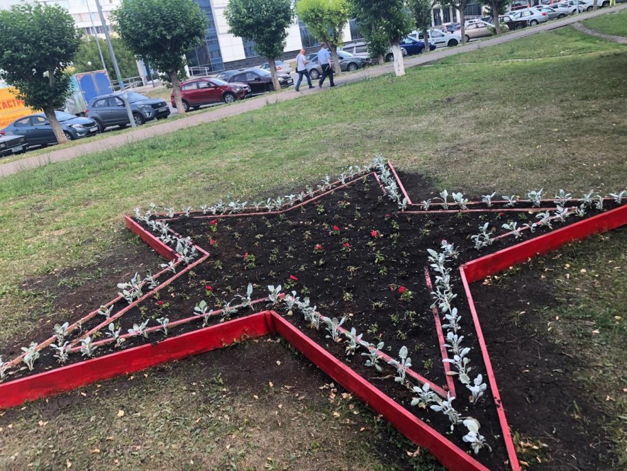 Клумбы для цветов в виде звезды