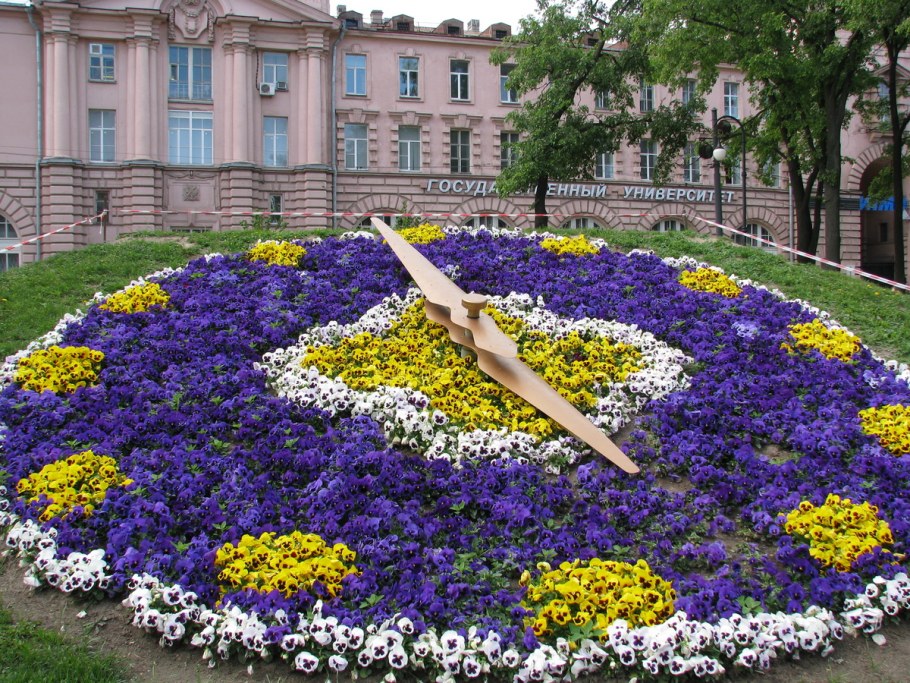 Проект цветочной клумбы из однолетников