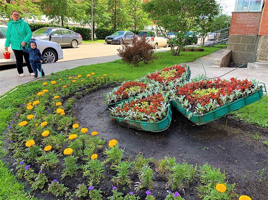Цветочные часы парк Победы на Поклонной горе