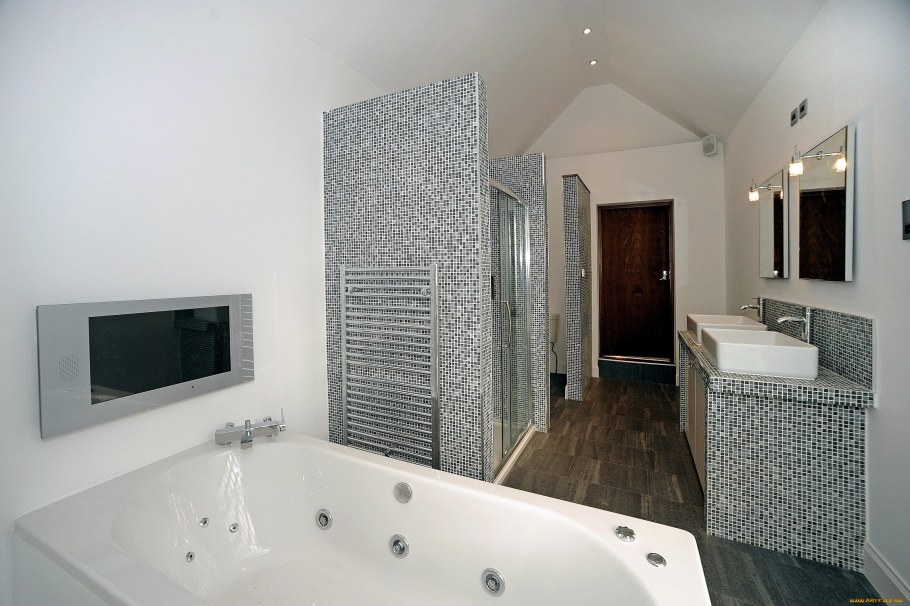 Ванная комната с душем джакузи и туалетом