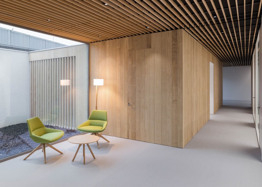 Необычные деревянные потолки